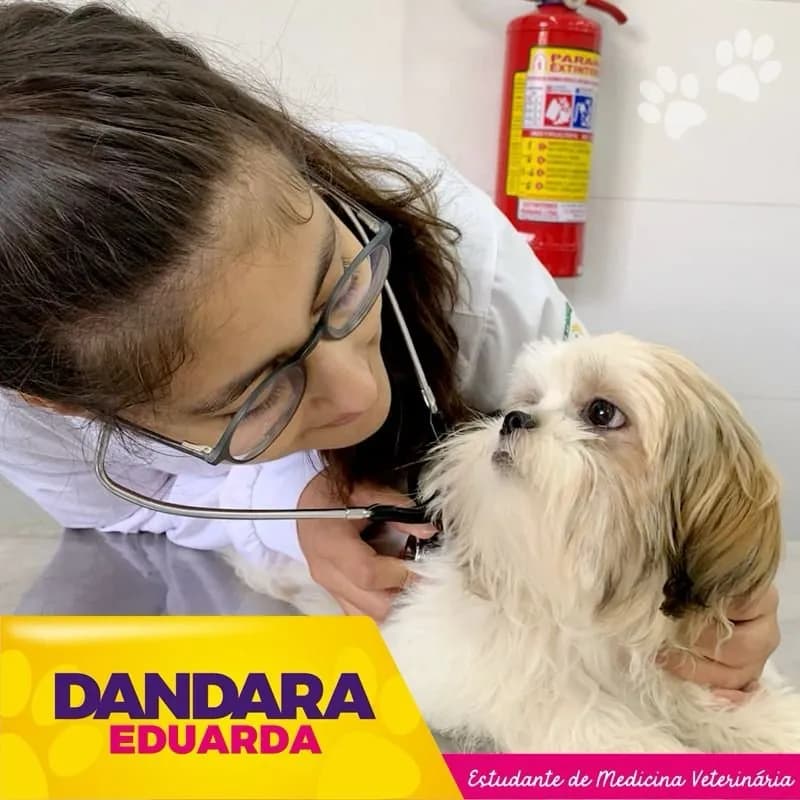 DICA PET - Parvovirose canina: uma das doenças mais perigosas para seu bichinho