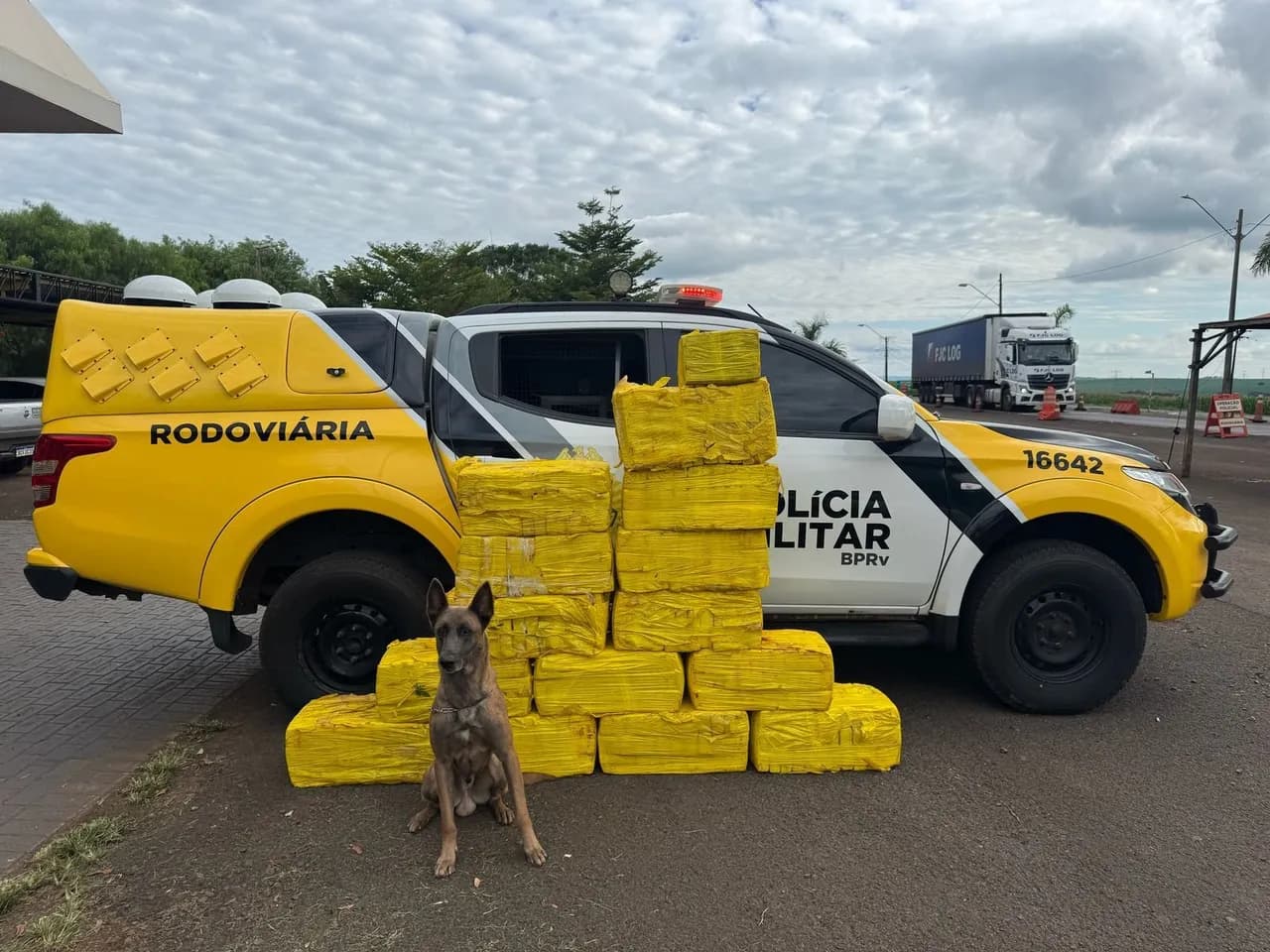 Mais de 350 quilos de maconha são apreendidos pela Polícia Rodoviária Estadual na PR-317, em Floresta