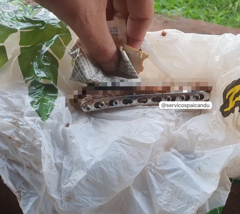 Ossada com placa de platina é encontrada por cachorro em fundo de vale entre Paiçandu e Maringá
