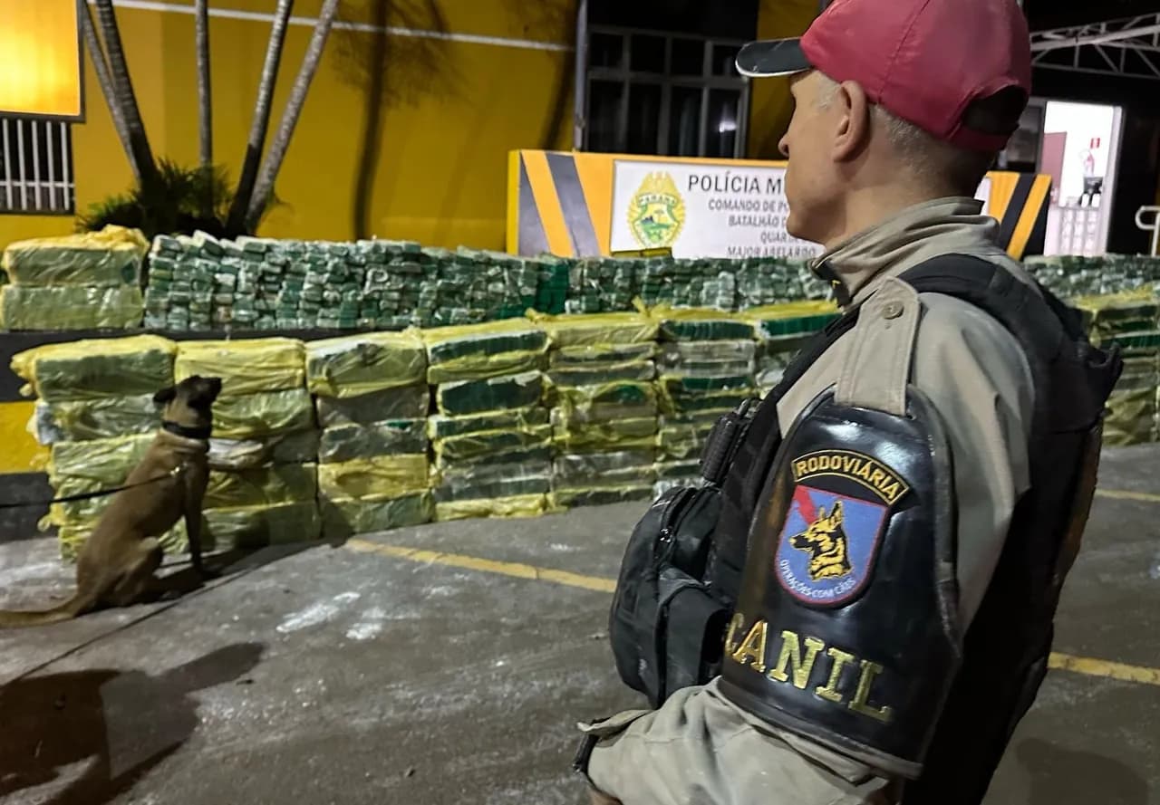 Equipes da Polícia Rodoviária Estadual apreende quase 3 toneladas de maconha em fundo falso de caminhão na PR-323