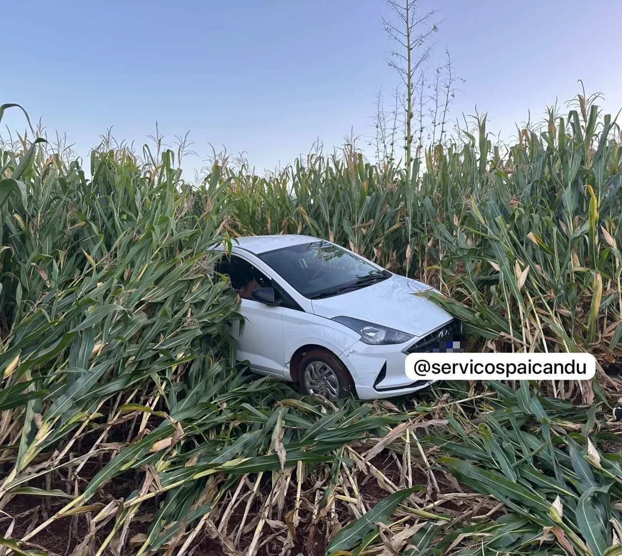 Tragédia - Idosa morre após ser atropelada pelo próprio companheiro em Doutor Camargo