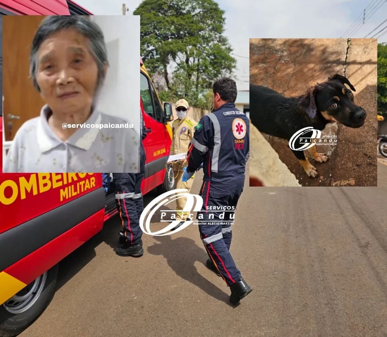 Morre no hospital Idosa de 89 anos que foi atacada por cachorro, em Maringá
