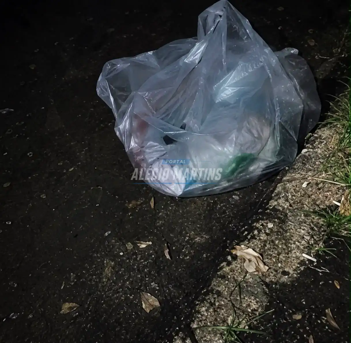 Recém-nascido é encontrado vivo jogado dentro de sacola em quintal de residência no Paraná