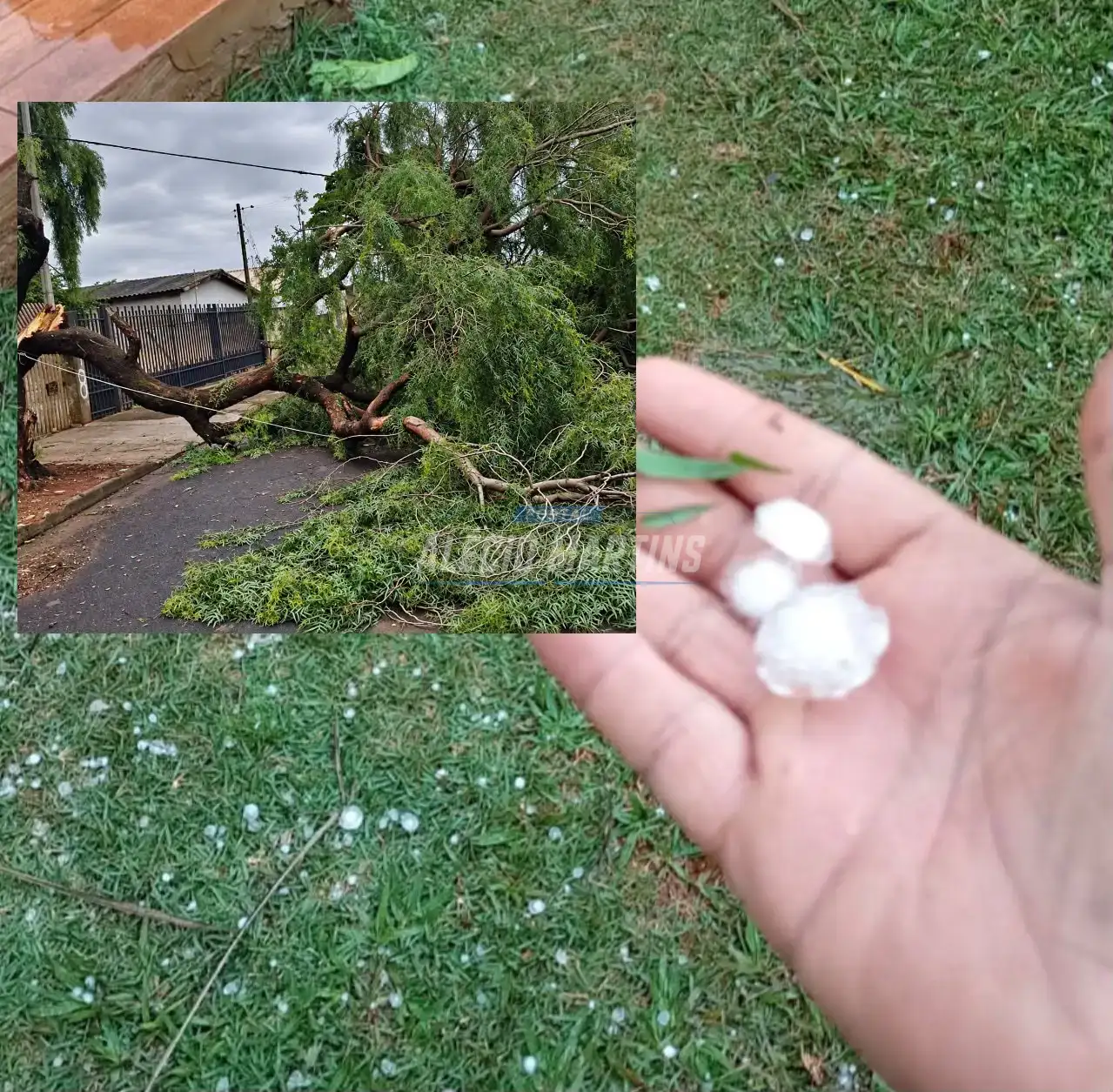 Temporal derruba seis árvores e provoca granizo em Paiçandu e Água Boa