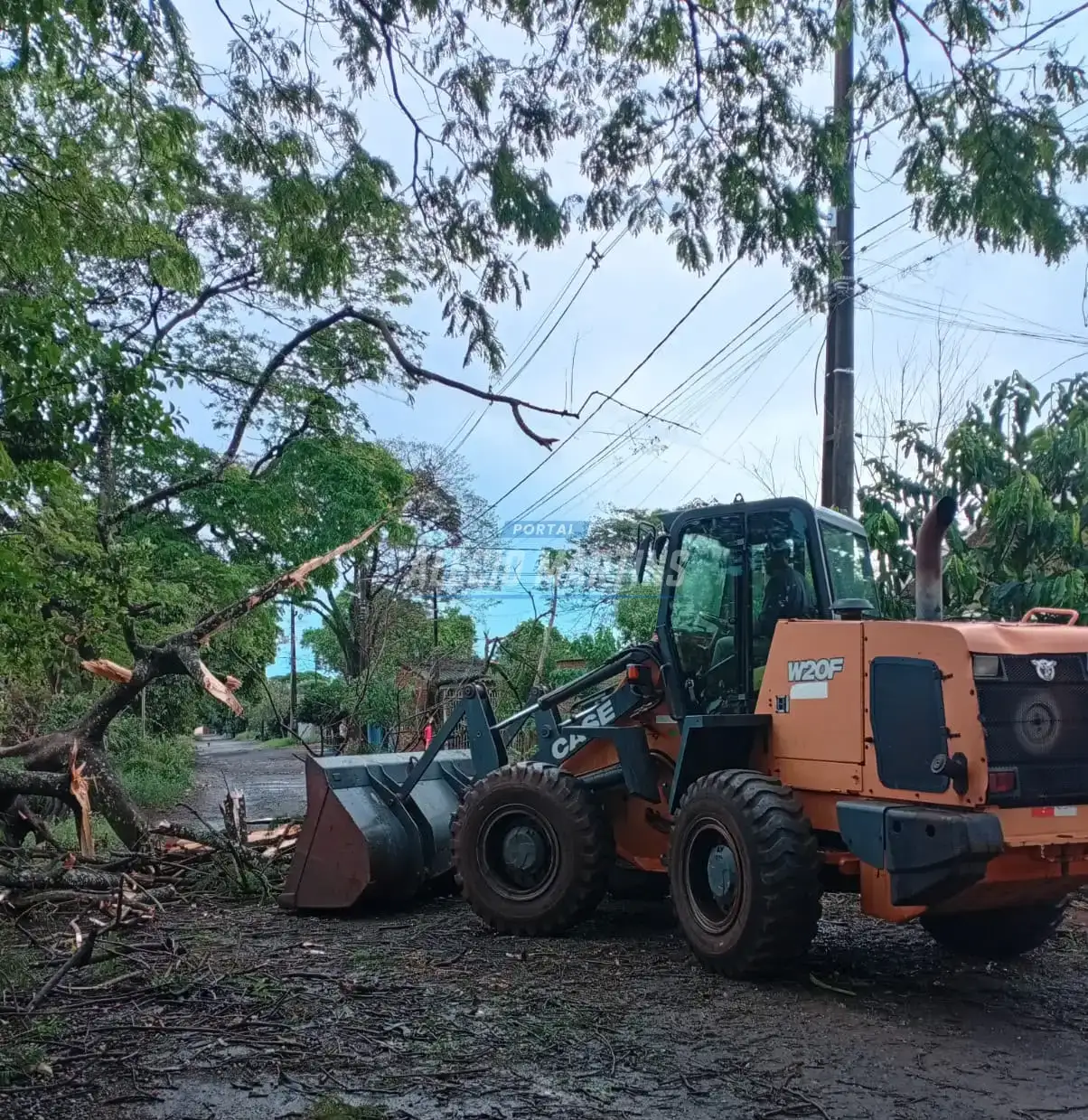 Após temporal, força-tarefa remove árvores e libera vias em Paiçandu