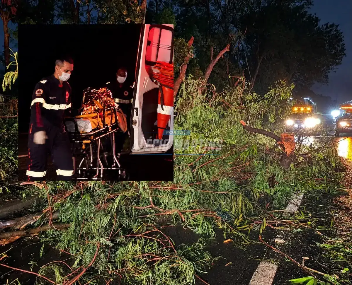 Homem e mulher ficam feridos após moto atingir galhos derrubados pela chuva na rodovia entre Maringá e Floresta