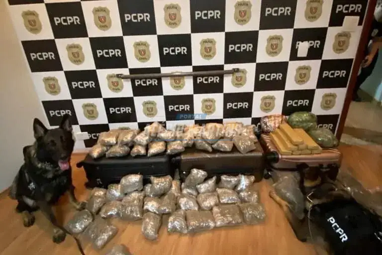 Mais de 25 quilos de maconha são apreendidas dentro de malas em ônibus na rodovia. Duas pessoas foram presas