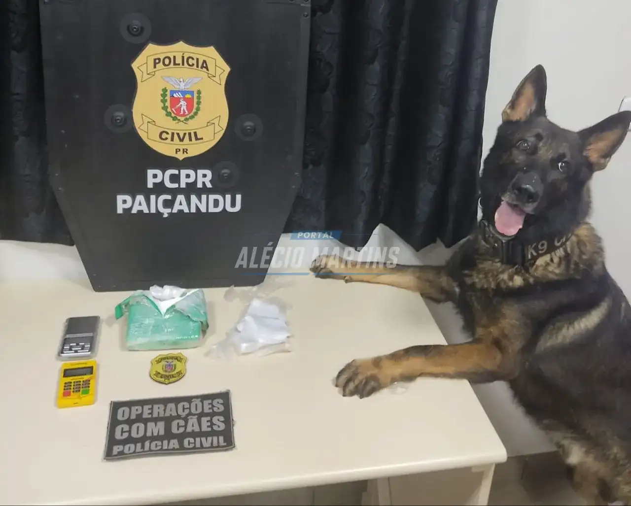 Polícia civil realiza apreensão de quase meio quilo de cocaína em Paiçandu. Duas pessoas foram presas