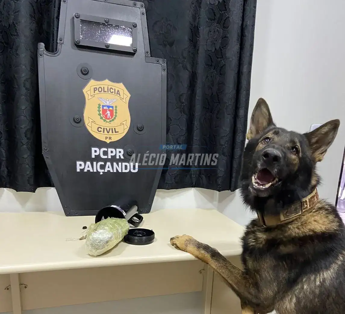 Polícia civil apreende em flagrante drogas que era entregue pelos correios. Estava escondido em fundo de garrafa térmica
