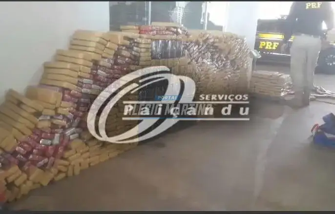 Polícia Rodoviária Federal e Receita Federal apreendem quase uma tonelada de maconha em Maringá
