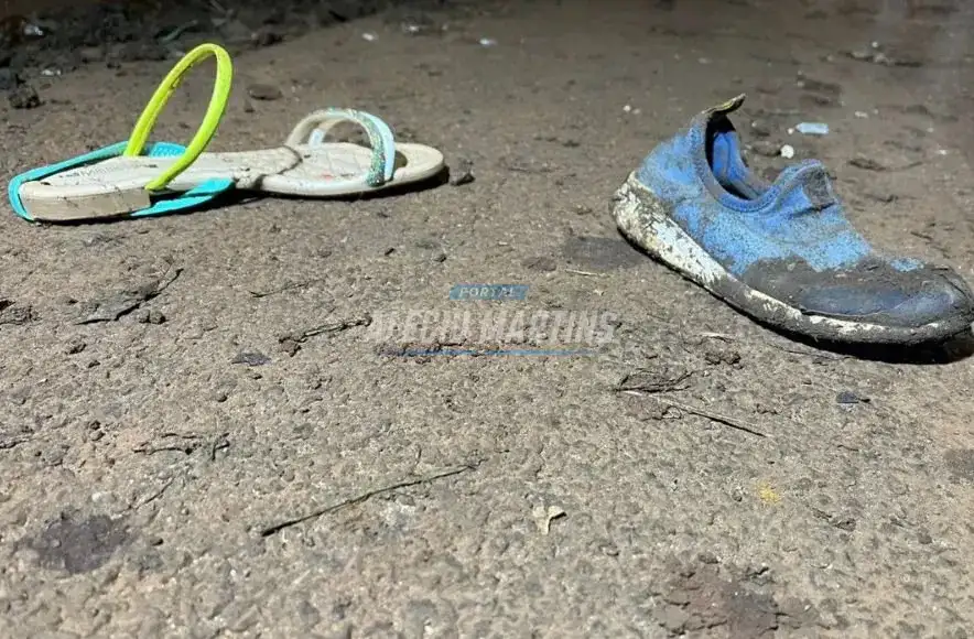 Tragédia - Quatro crianças morrem vítimas de atropelamento no Paraná