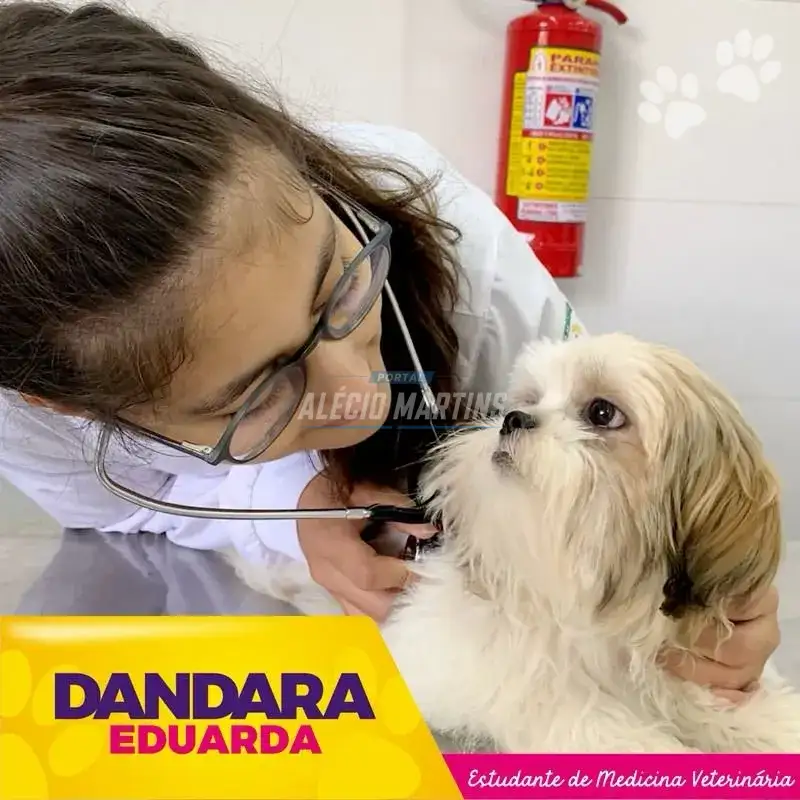 DICA PET - Parvovirose canina: uma das doenças mais perigosas para seu bichinho