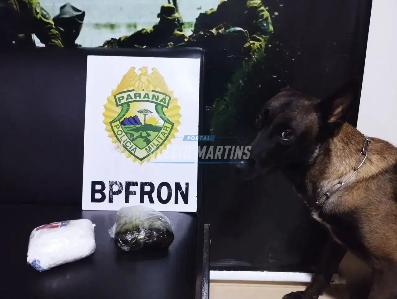 Após cão farejar entorpecentes, passageira de ônibus é presa com haxixe preso ao corpo na PR-323