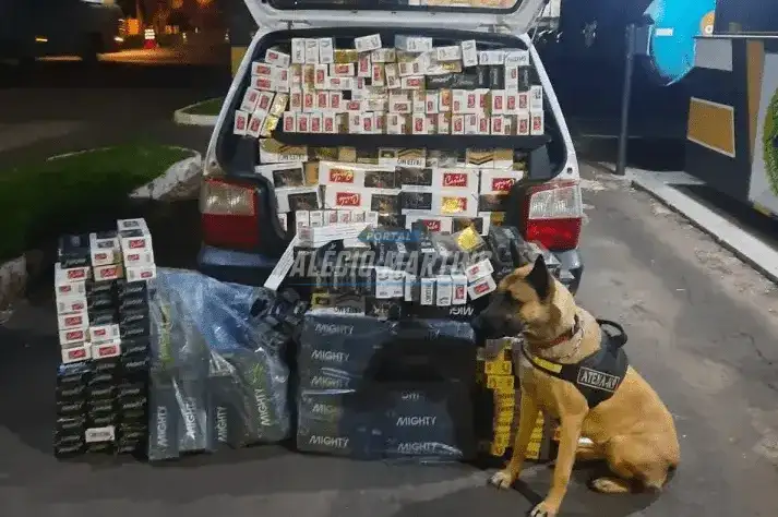 Cigarros contrabandeados que seriam entregue em Paiçandu é apreendida pela PRE