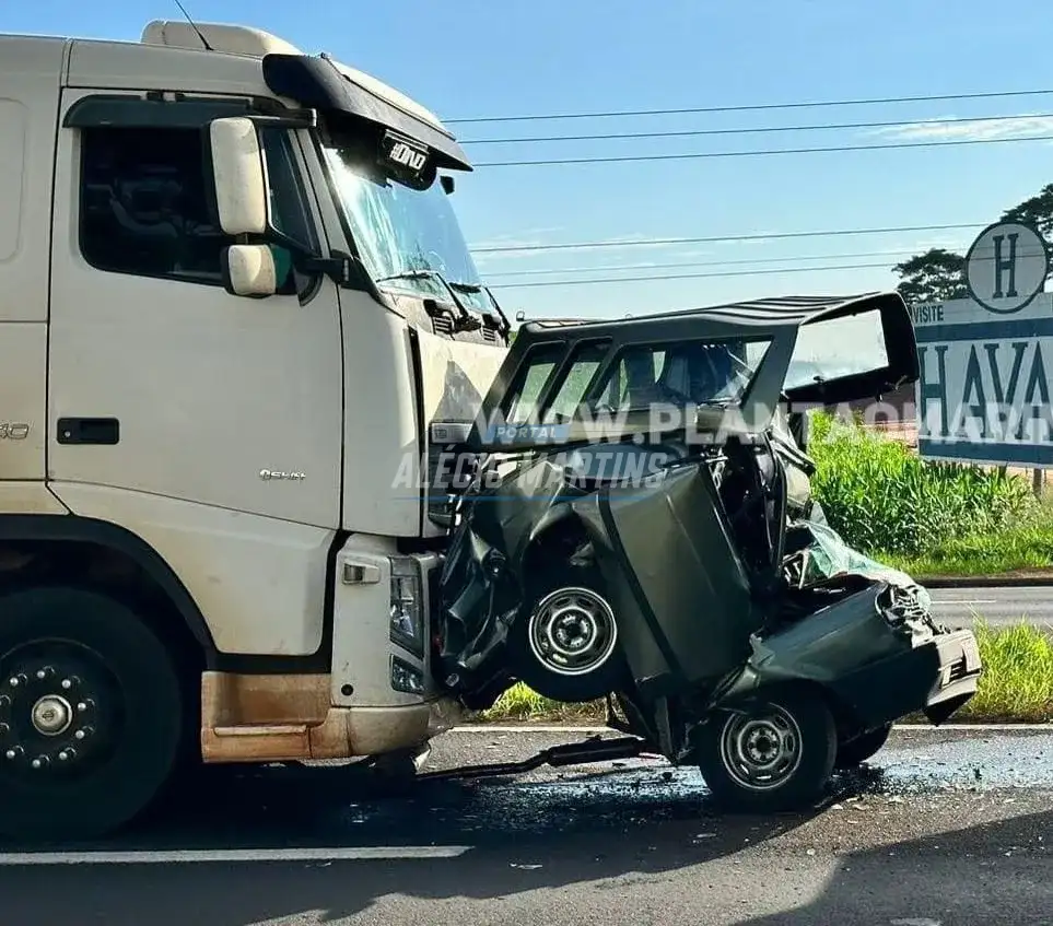 Motorista morre após carro ser esmagado por carreta e caminhão na rodovia próximo a Vila São Domingos