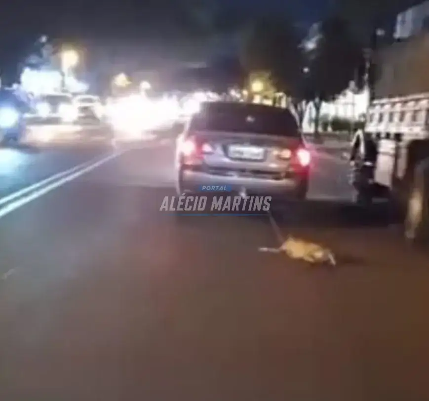 Cachorro é puxado por carro em movimento em Maringá