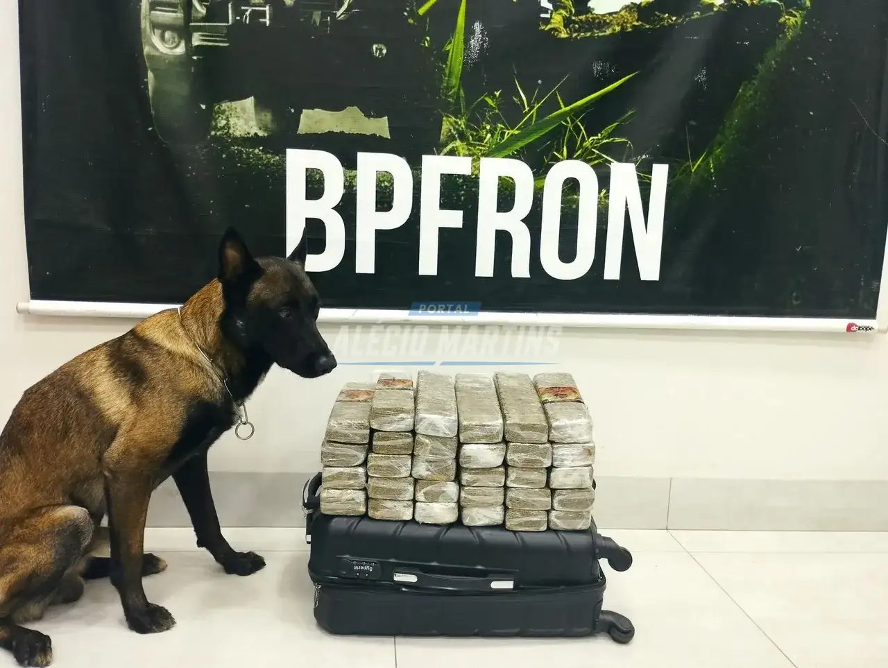 Cão “Nero” fareja drogas que estavam em bagagem de passageiro em ônibus de linha da PR-323