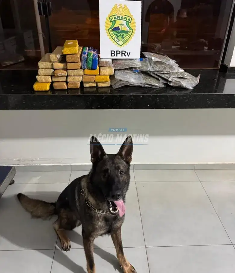 Polícia Rodoviária apreende quase 20 kg de drogas com passageiro em ônibus na PR-323