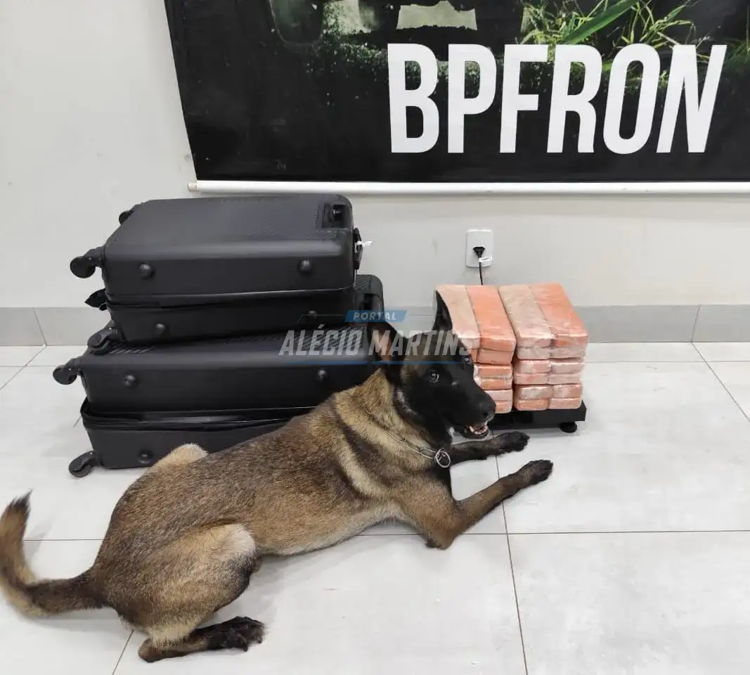 Com apoio de cão farejador Polícia Militar apreende mais de 17 kg de maconha em ônibus na PR-323