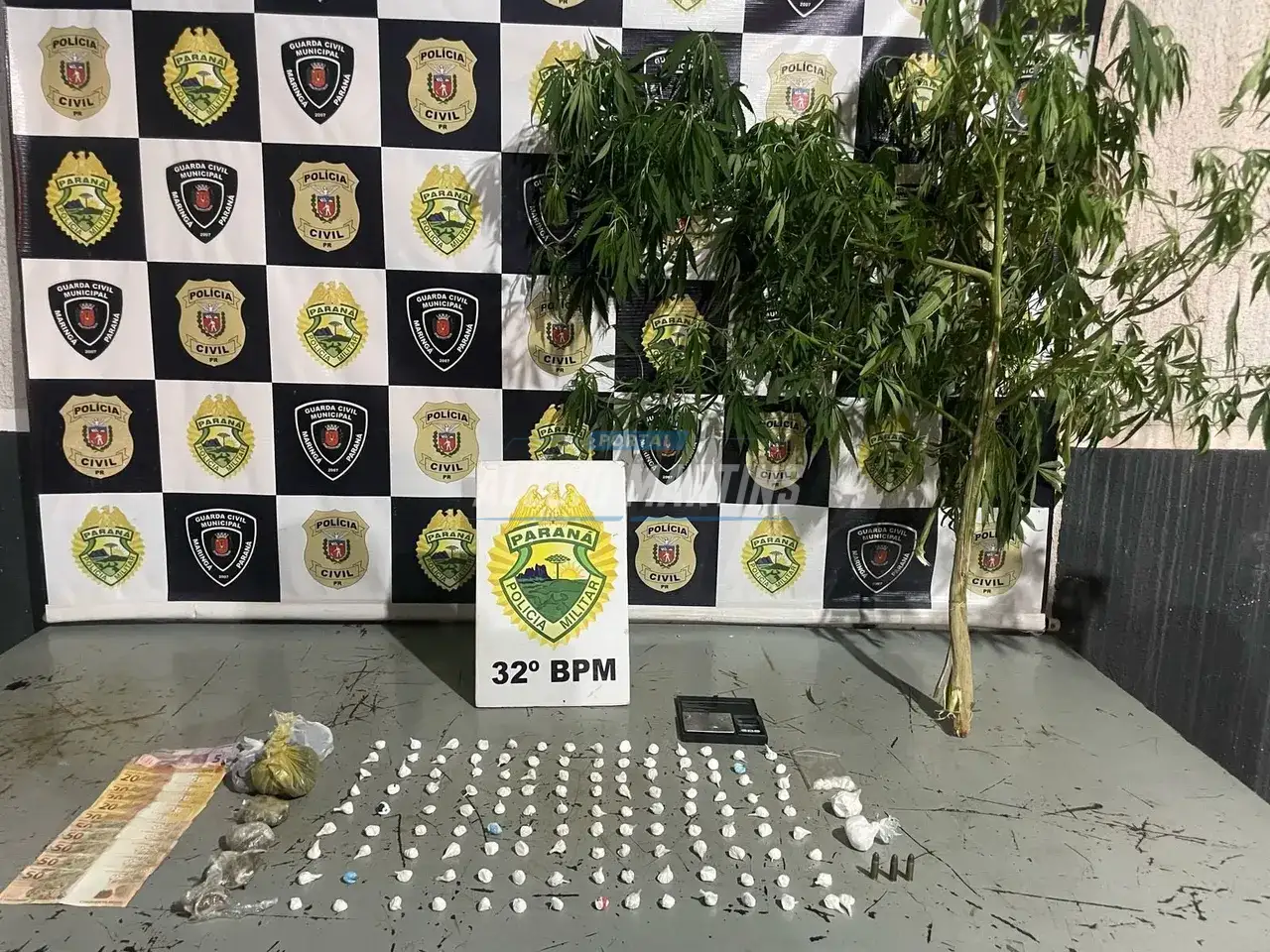 Após denúncias de tráfico ROTAM realiza a prisão de homem com drogas e munições em Paiçandu