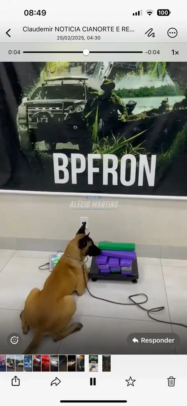 Com ajuda de cão farejador polícia apreende drogas transportadas em ônibus na PR-323