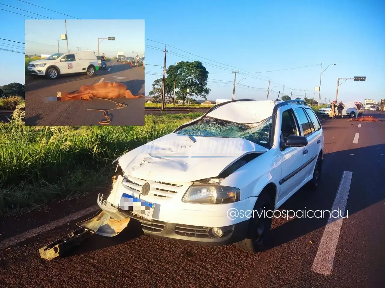 PERIGO - Cavalo invade pista e é atropelado por carro na PR-323, em Paiçandu