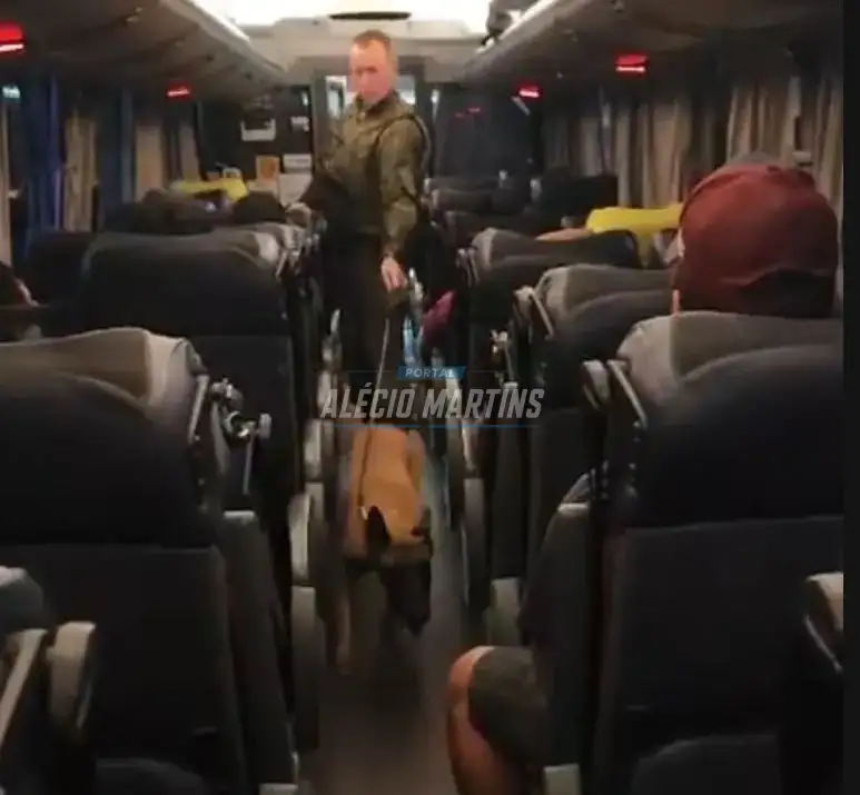 Com ajuda de cão farejador polícia apreende drogas em ônibus na PR-323