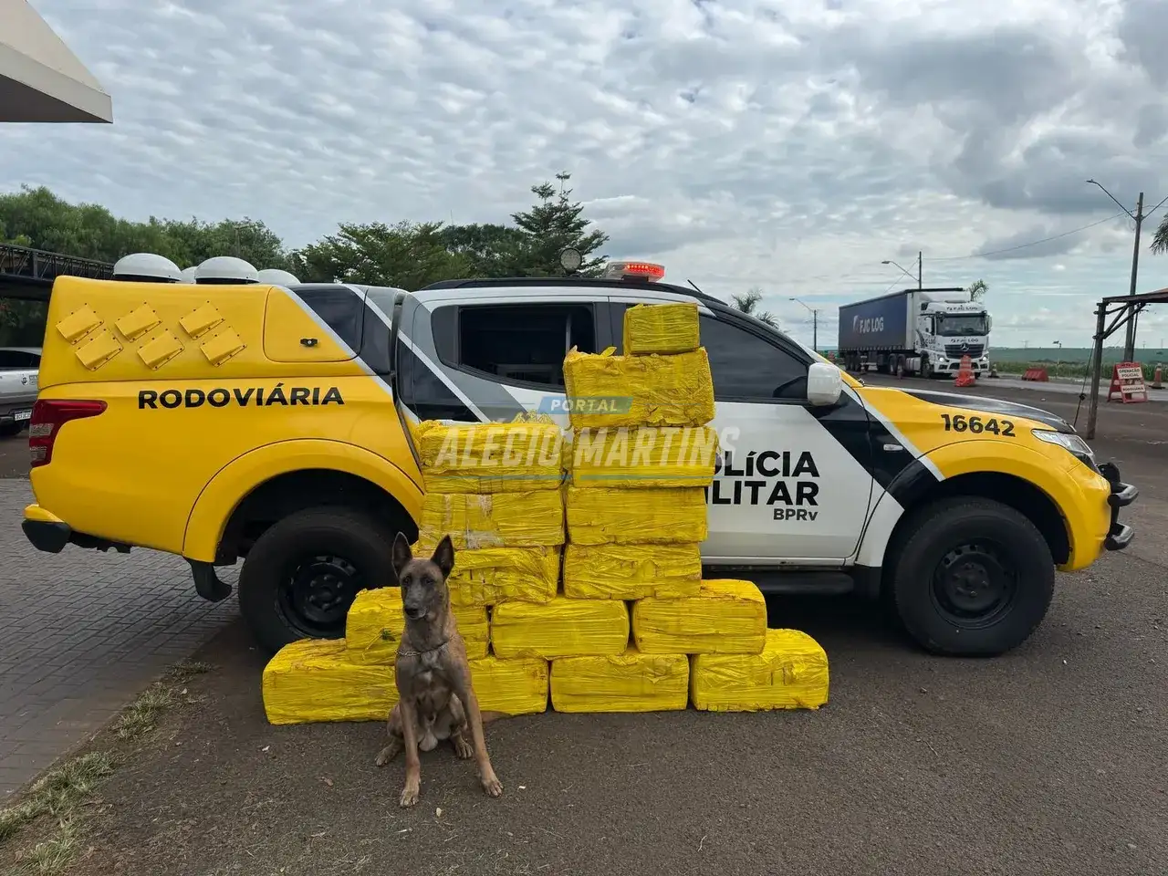Mais de 350 quilos de maconha são apreendidos pela Polícia Rodoviária Estadual na PR-317, em Floresta