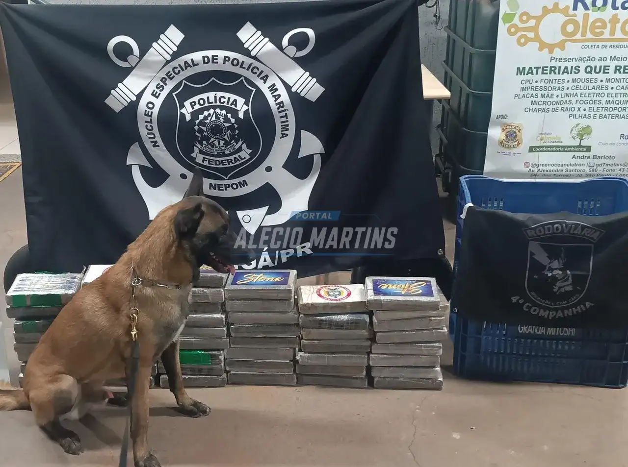 Mais de 50 kg de cocaína são apreendidos durante abordagem na PR-323 em Paiçandu