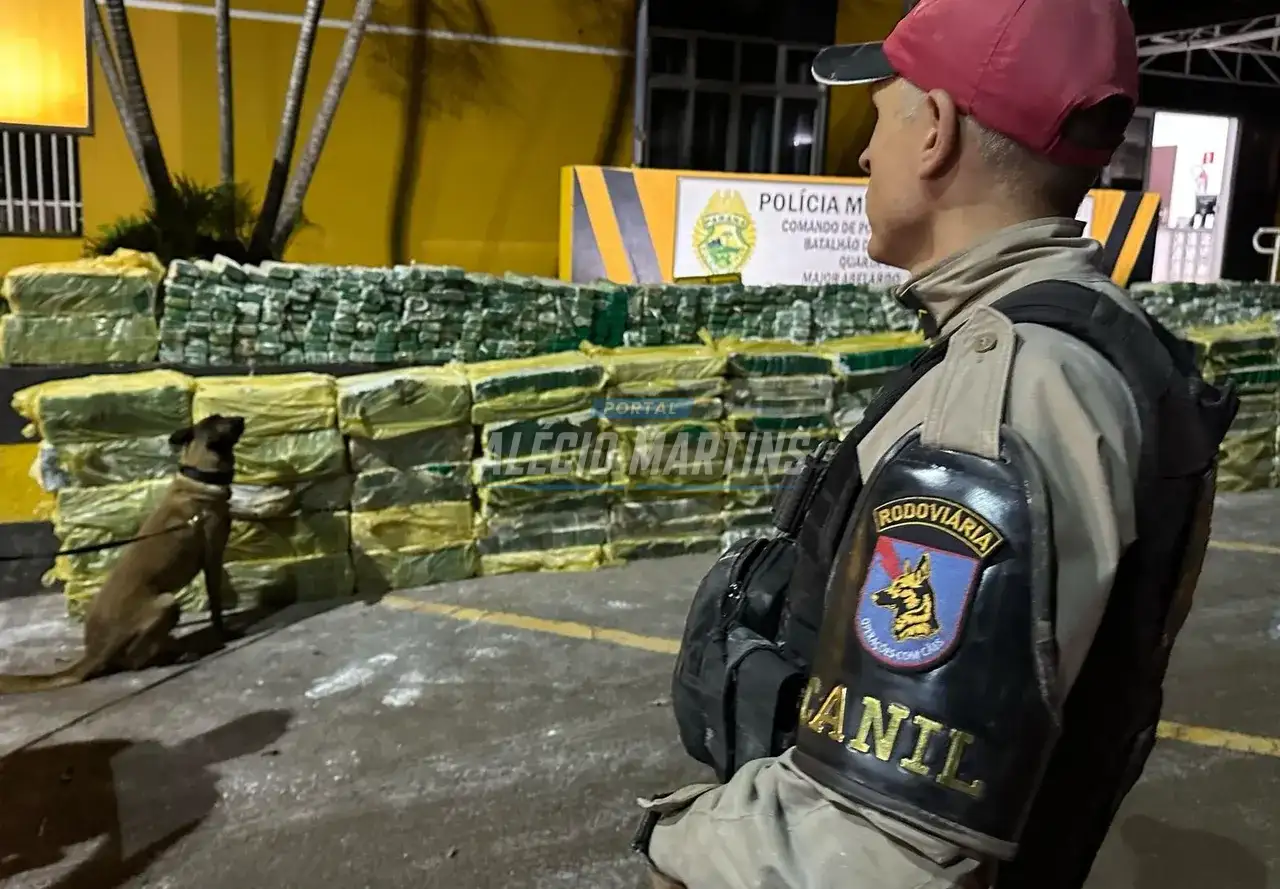 Equipes da Polícia Rodoviária Estadual apreende quase 3 toneladas de maconha em fundo falso de caminhão na PR-323