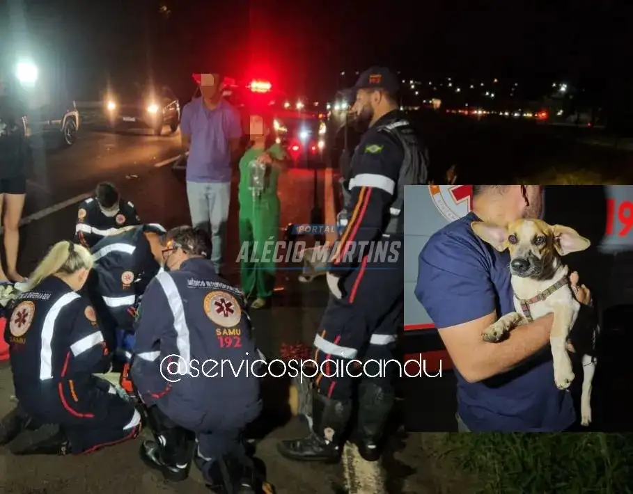 Após atropelamento fatal, cachorro da vítima permanece ao lado do corpo na BR-376 em Mandaguaçu