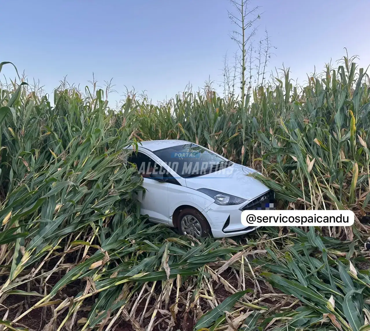 Tragédia - Idosa morre após ser atropelada pelo próprio companheiro em Doutor Camargo