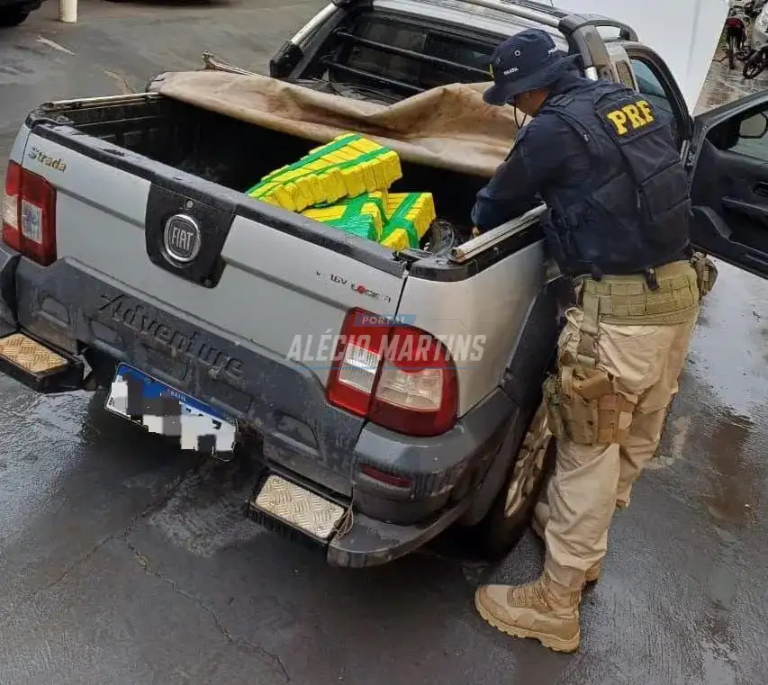 Ação das policiais Federal e Militar apreende quase 300 kg de maconha e prende homem em Mandaguaçu