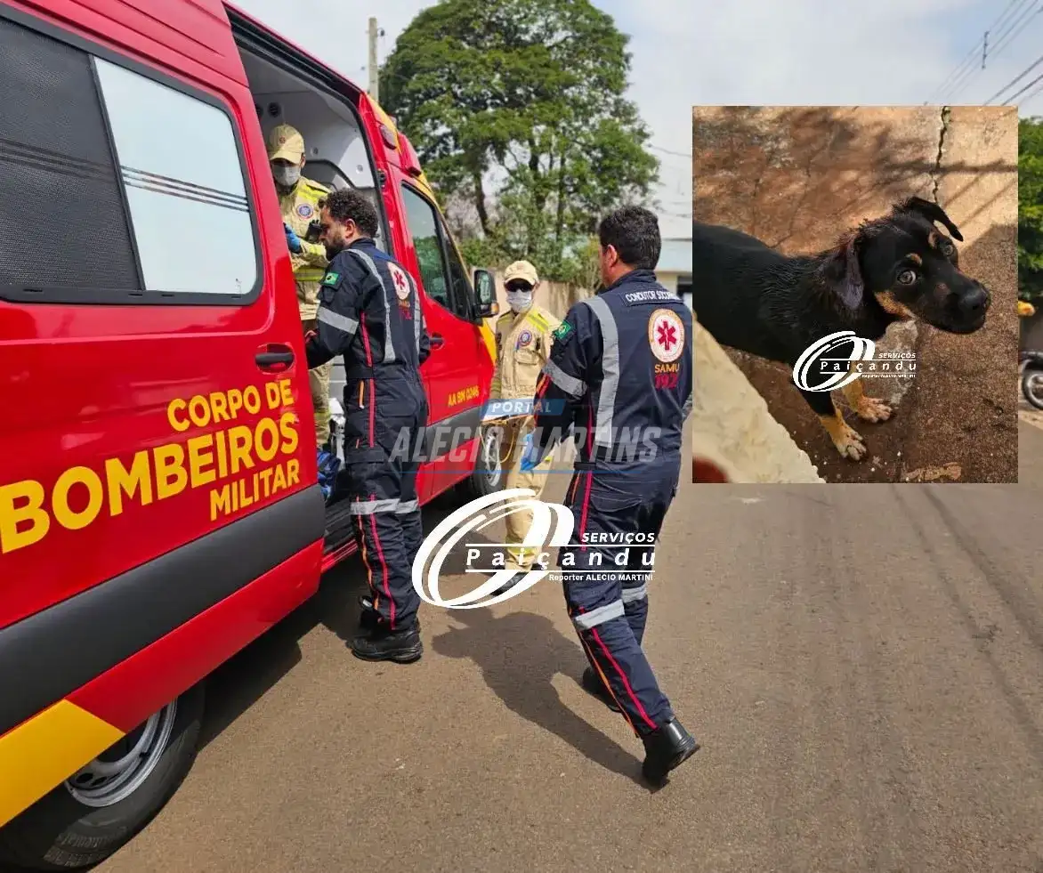 Idosa de 89 anos tem braço dilacerado em ataque de cachorro em Maringá