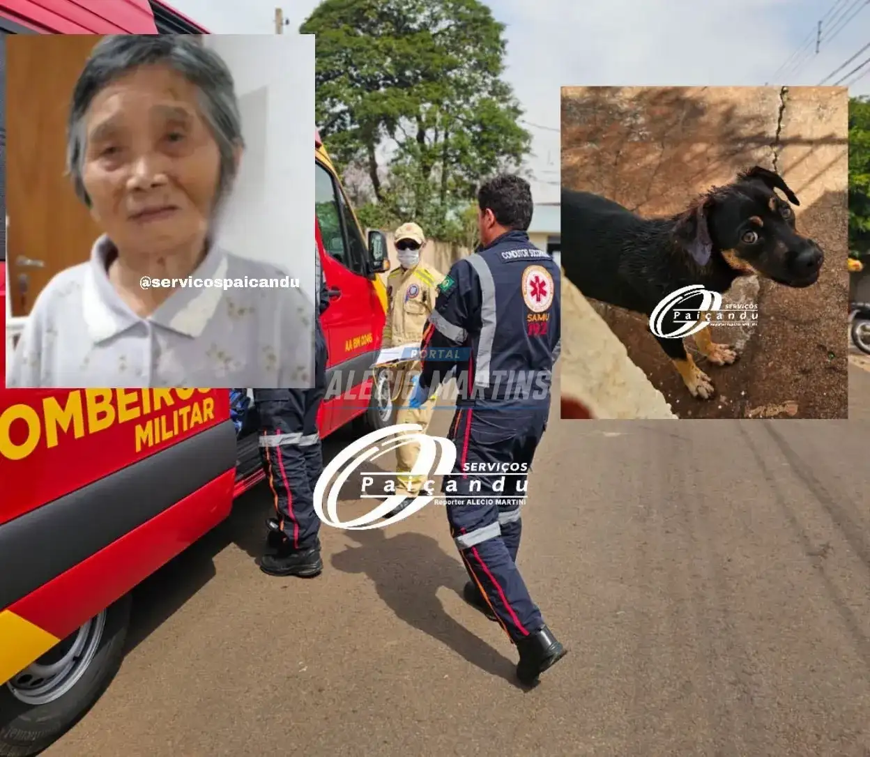 Morre no hospital Idosa de 89 anos que foi atacada por cachorro, em Maringá
