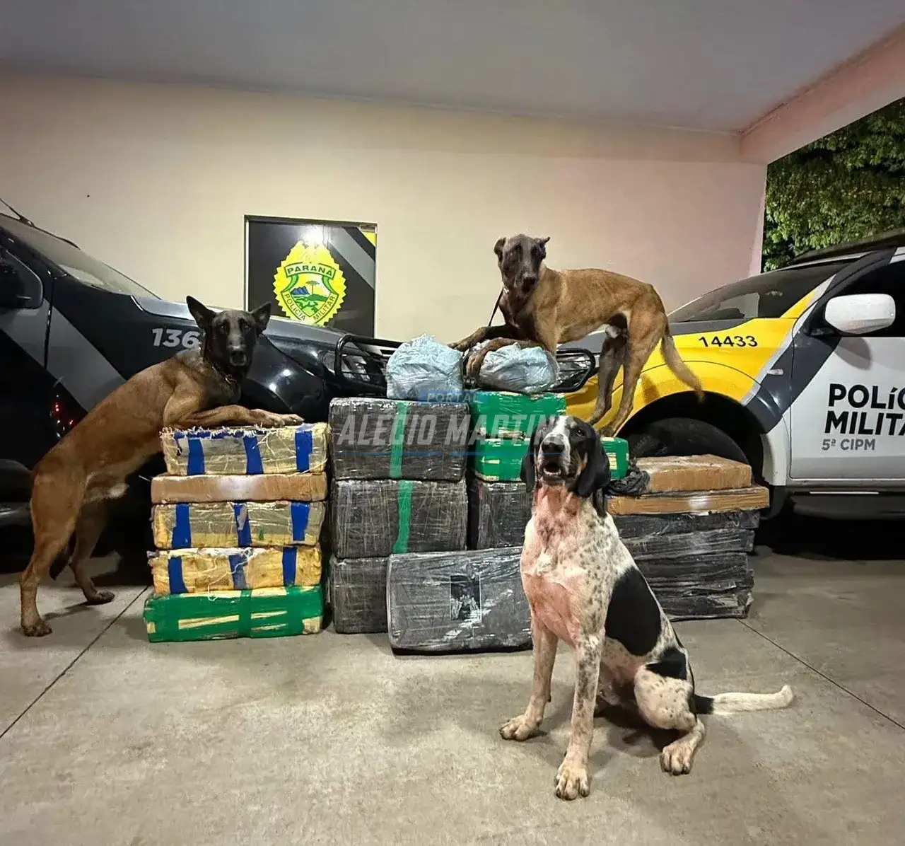 Polícia Militar apreende mais de R$ 1,5 milhão em drogas após acidente na PR-323