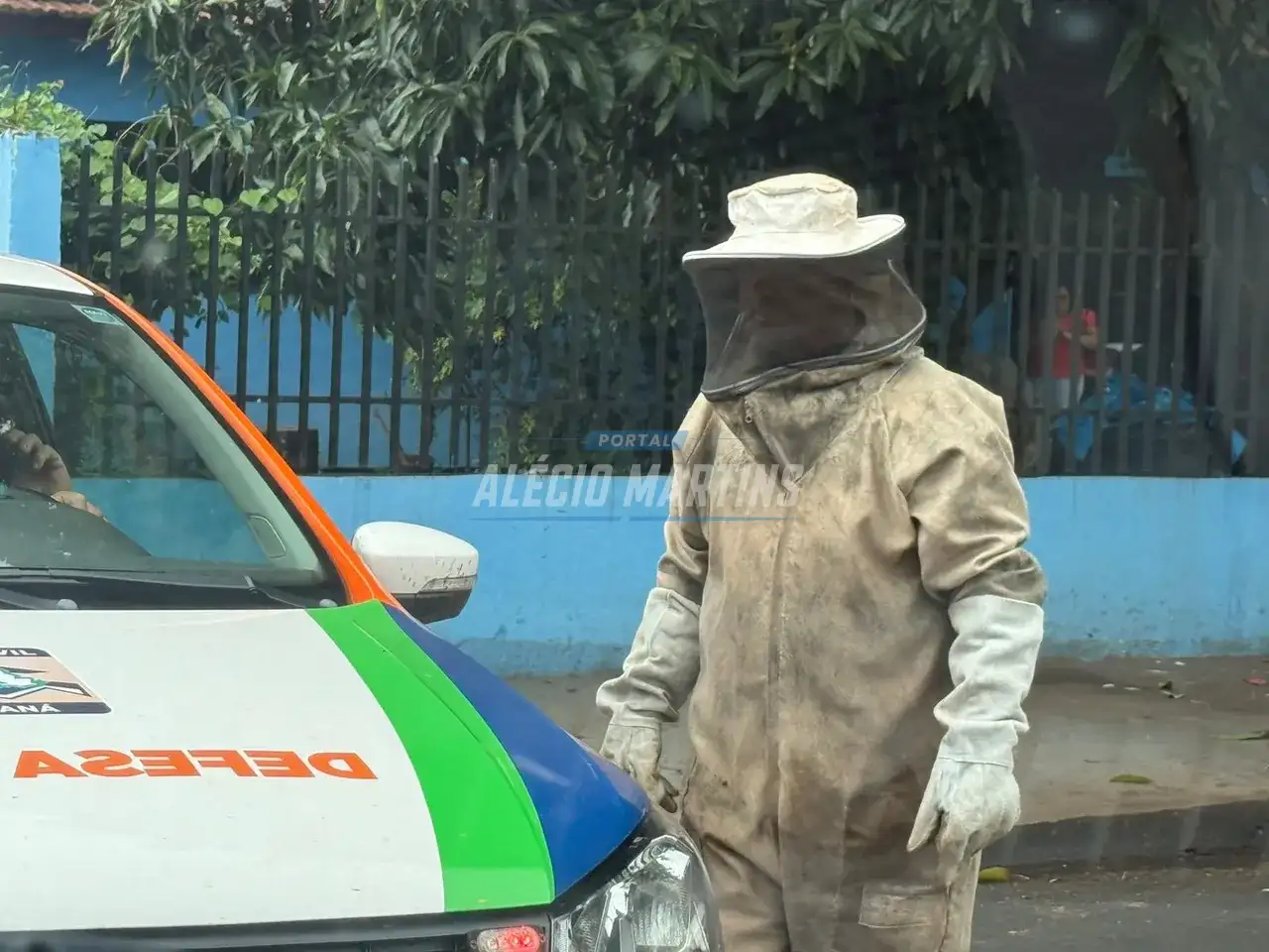 Ataque de abelhas deixa feridos no Jardim Pioneiro, em Paiçandu