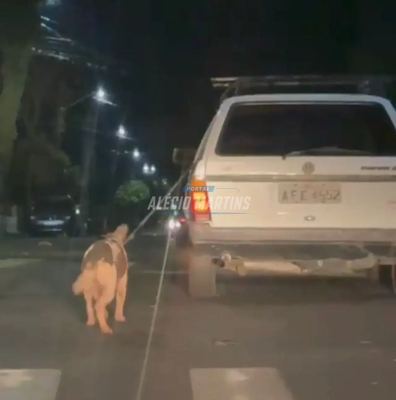 Crueldade: cachorro morre após ser arrastado por carro em Mandaguari; motorista foi preso