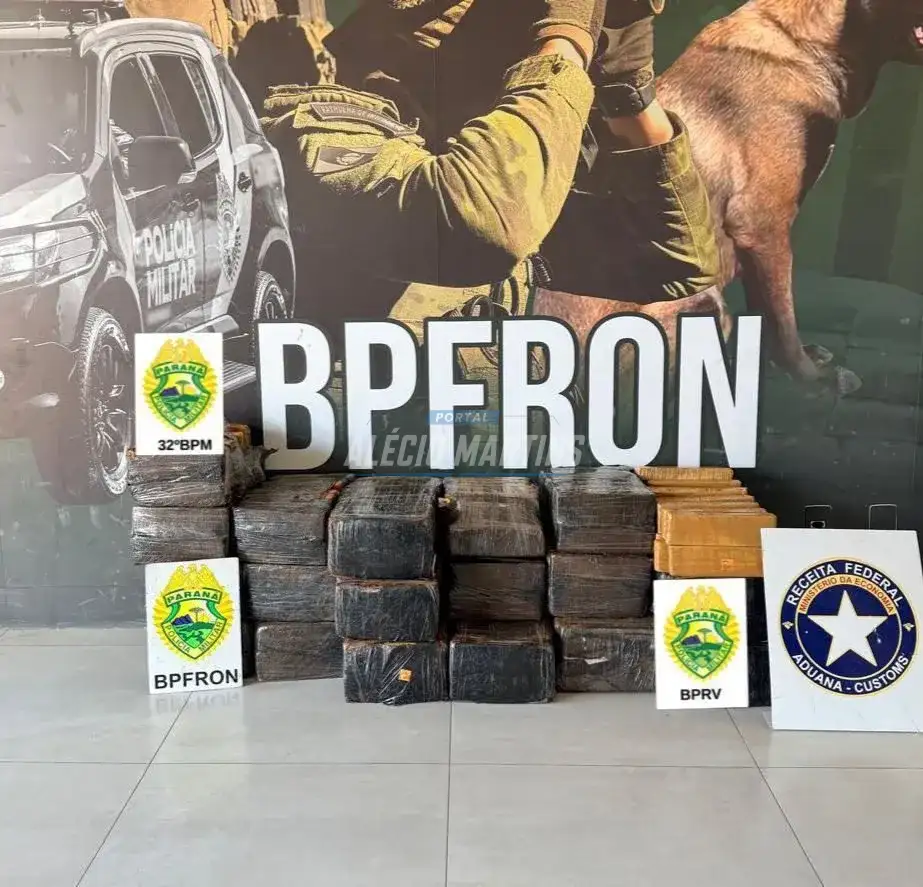 Fuga na rodovia termina em Paiçandu e polícia apreende quase 300 quilos de maconha em plantação na região de Cianorte